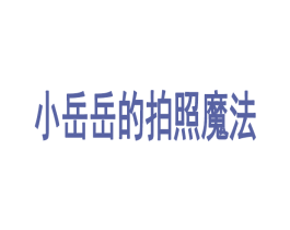 小岳岳的拍照魔法 第35类广告贸易商标图样