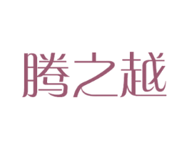 腾之越 第28类体育玩具商标图样