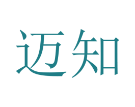 迈知 第12类运输工具商标图样