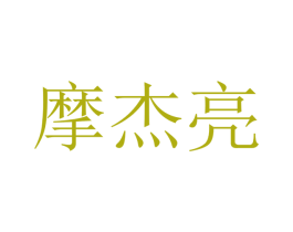 摩杰亮 第9类科学仪器商标图样