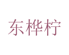 东桦柠 第25类服装鞋帽商标图样
