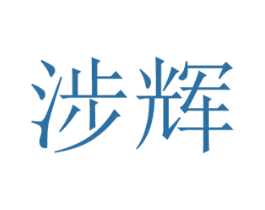涉辉 第18类皮革箱包商标图样