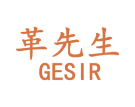 革先生 GESIR 第18类皮革箱包商标图样