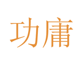 功庸 第9类科学仪器商标图样