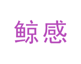 鲸感 第9类科学仪器商标图样