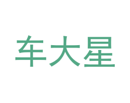 车大星 第42类技术服务商标图样