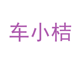 车小桔 第9类科学仪器商标图样