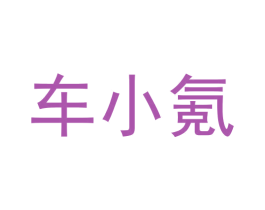 车小氪 第41类教育娱乐商标图样