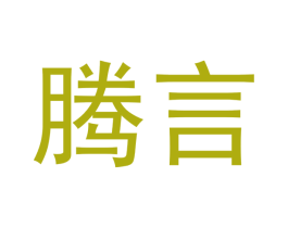腾言 第28类体育玩具商标图样