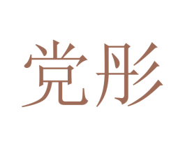 党彤 第25类服装鞋帽商标图样