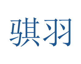 骐羽 第12类运输工具商标图样