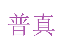 普真 第12类运输工具商标图样