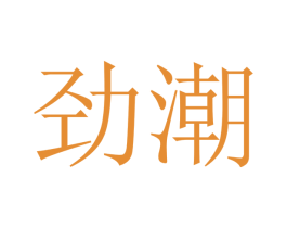 劲潮 第12类运输工具商标图样