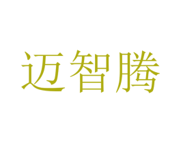 迈智腾 第12类运输工具商标图样