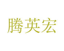 腾英宏 第9类科学仪器商标图样