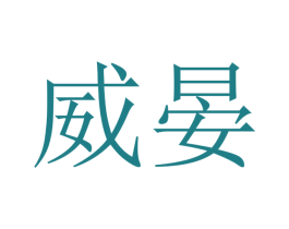威晏 第9类科学仪器商标图样