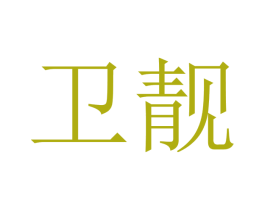 卫靓 第21类厨房洁具商标图样