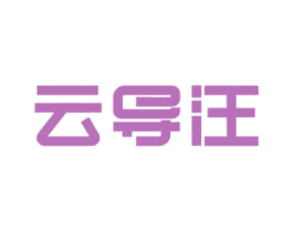 云导汪 第9类科学仪器商标图样