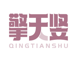 擎天竖 第6类五金金属商标图样