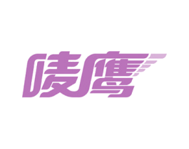 唛鹰 第9类科学仪器商标图样
