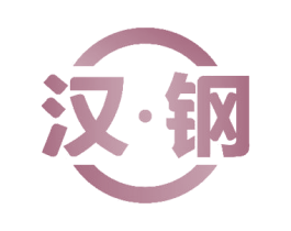 汉·钢 第10类医疗器械商标图样