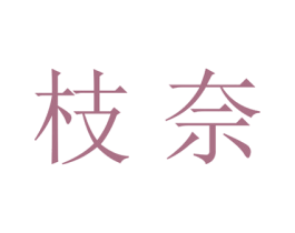 枝奈 第25类服装鞋帽商标图样