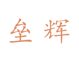 垒辉 第25类服装鞋帽商标图样