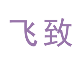 飞致 第25类服装鞋帽商标图样