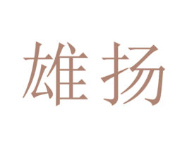雄扬 第25类服装鞋帽商标图样
