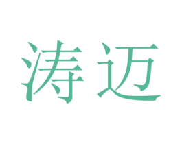 涛迈 第25类服装鞋帽商标图样