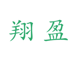 翔盈 第21类厨房洁具商标图样
