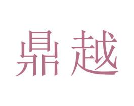 鼎越 第21类厨房洁具商标图样