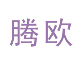 腾欧 第18类皮革箱包商标图样