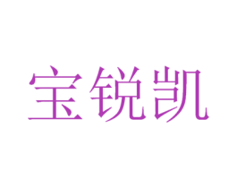 宝锐凯 第42类技术服务商标图样