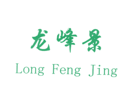 龙峰景 第28类体育玩具商标图样