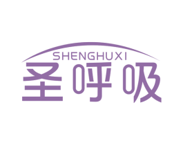 圣呼吸 第10类医疗器械商标图样