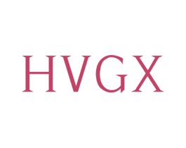HVGX 第9类科学仪器商标图样