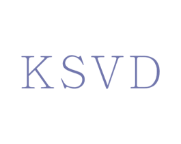 KSVD 第9类科学仪器商标图样