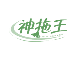 神拖王 第21类厨房洁具商标图样