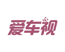 爱车视 第9类科学仪器商标图样