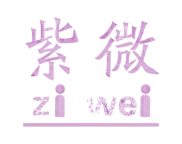 紫微 第9类科学仪器商标图样