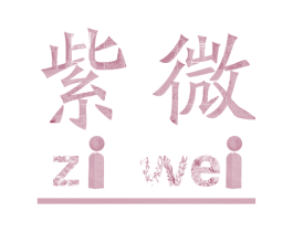 紫微 第9类科学仪器商标图样