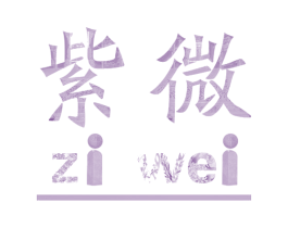 紫微 第9类科学仪器商标图样