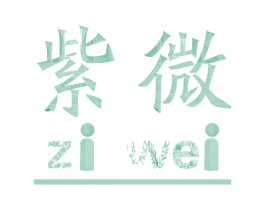 紫微 第12类运输工具商标图样