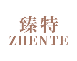 臻特 第19类建筑材料商标图样
