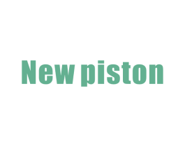 NEW PISTON 第42类技术服务商标图样