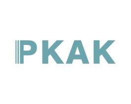 PKAK 第42类技术服务商标图样