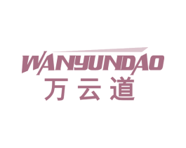 万云道 第42类技术服务商标图样