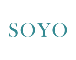 SOYO 第27类地毯席垫商标图样