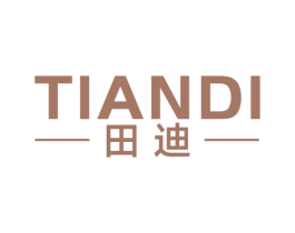 田迪 第17类橡胶制品商标图样